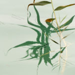 Valasht Lake, Mazandaran