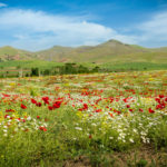 Kamyaran Countryside, Kurdistan