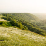 Fandoghloo Forest, Ardebil