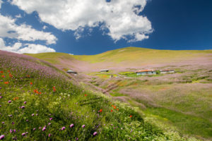 Landscape of Asalem Countruside, Gilan