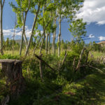 Nature of Khemes Village, Ardebil