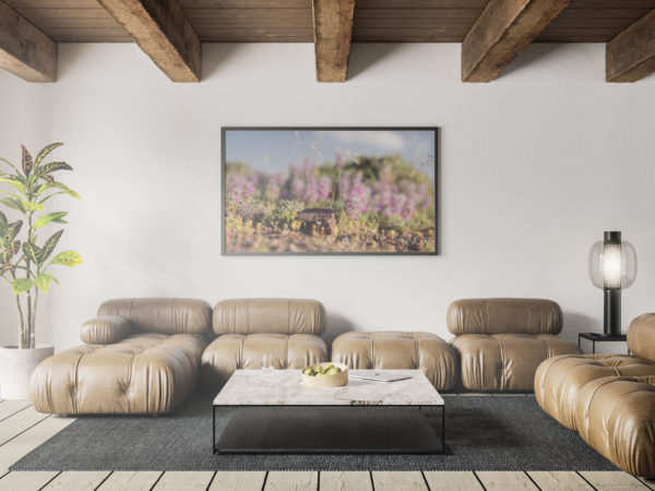 Stachys Lavandulifolia Flower, Ardebil on wall frame living room