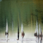 Churet Lake, Mazandaran, Iran