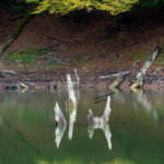 Churet Lake, Mazandaran, Iran