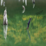 Churet Lake, Mazandaran, Iran