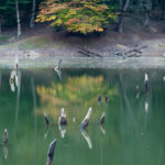 Churat Lake, Mazandaran