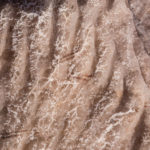 Salt Cristal Forms, Hormozgan