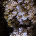 Salt Cristal Forms, Hormozgan