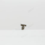 Cover of Snow on Ceiling, Mazandaran