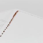 Snow on Ceiling, Mazandaran