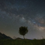 Single Tree at Night, Kurdistan