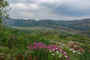 Landscape of Dezli, Kurdistan